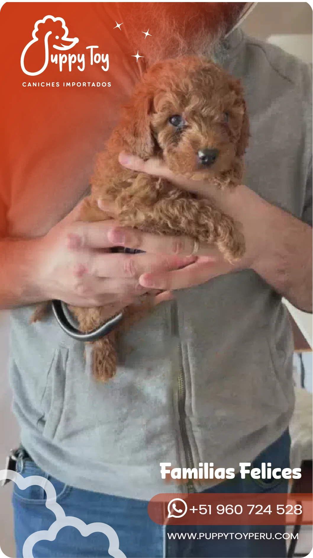 puppy toy images-18