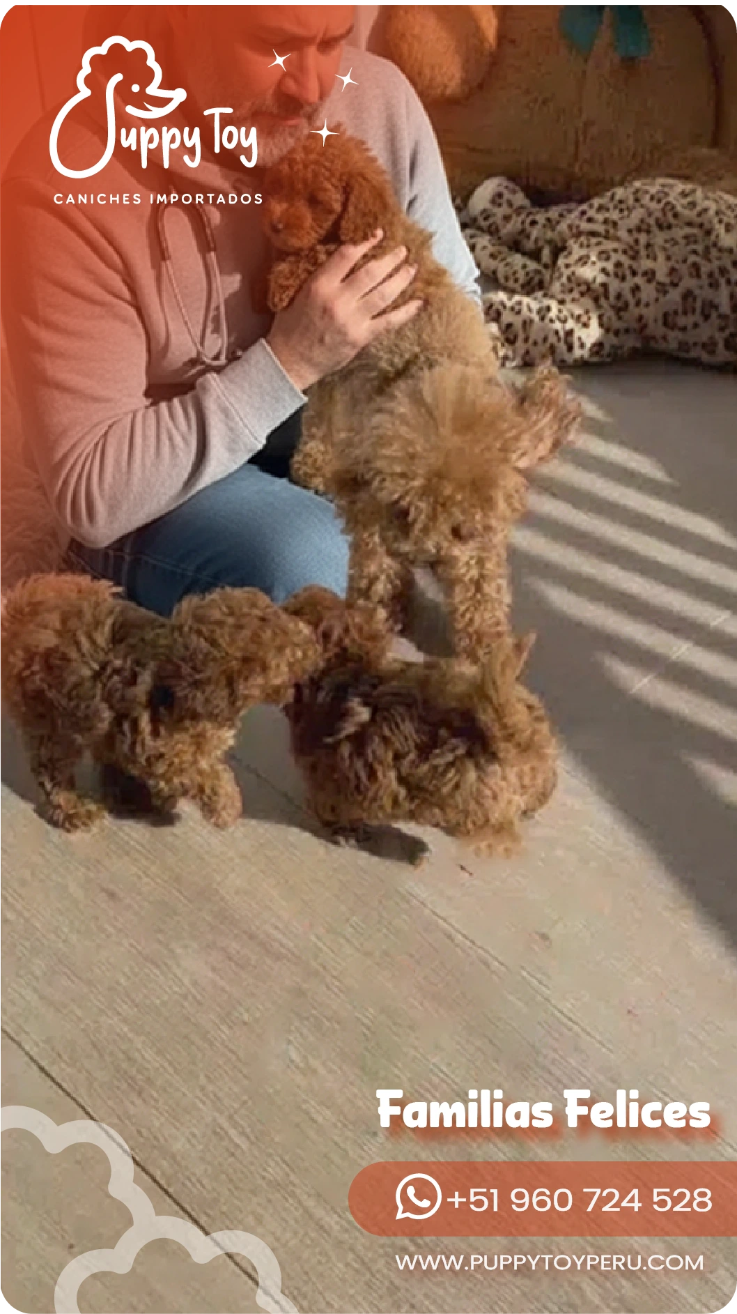 puppy toy images-19