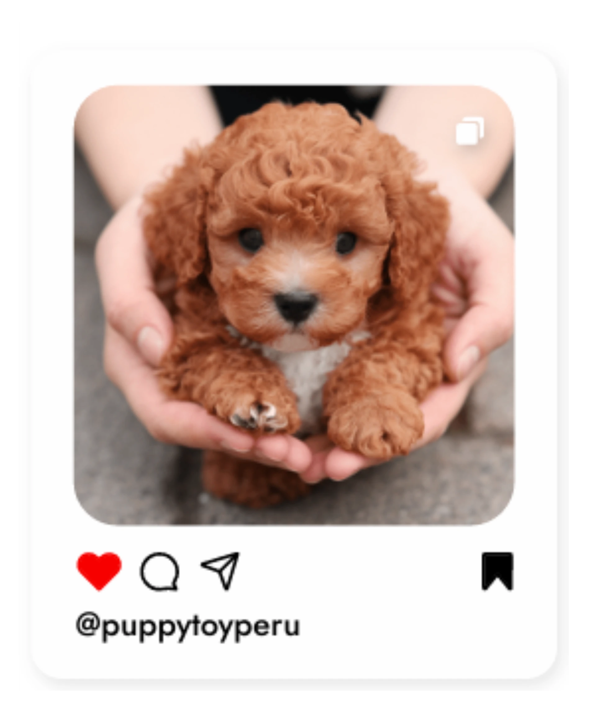 1.INSTA