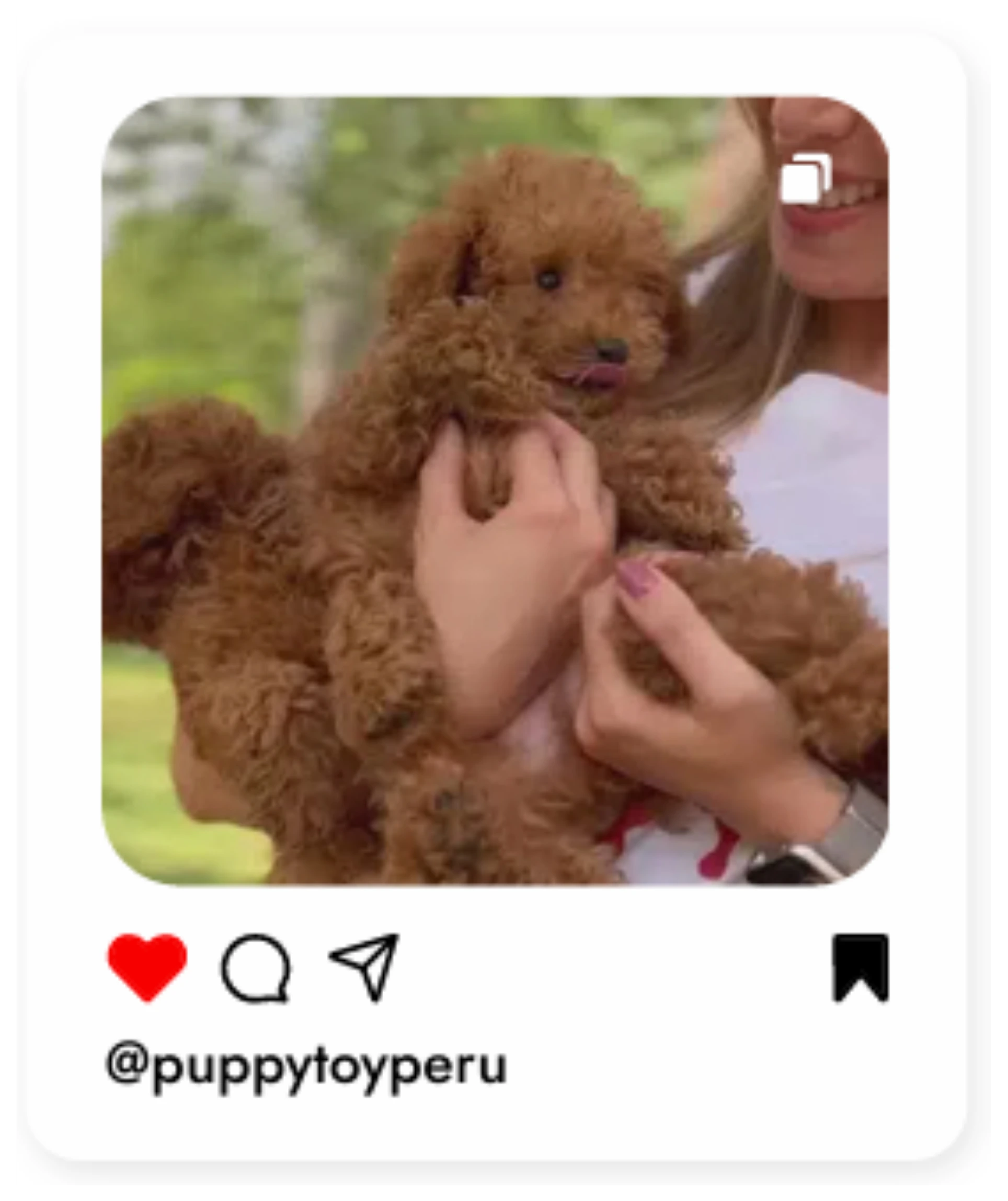 2.INSTA