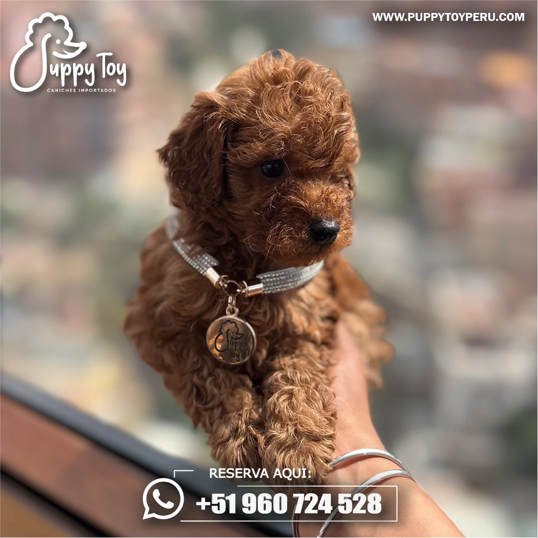 POST-06-02